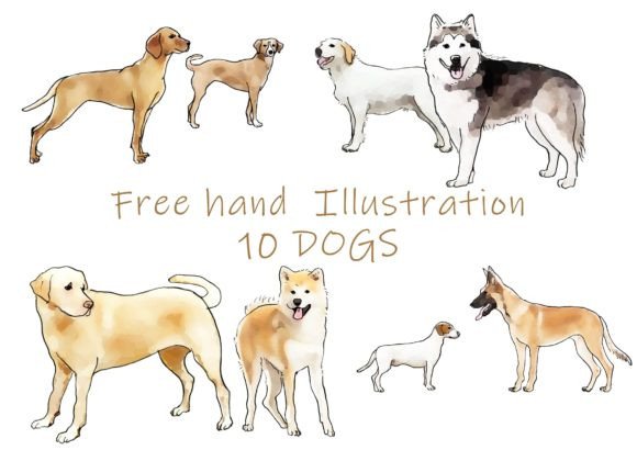 Download Freehand Illustration of 10 Dogs - Illustration Collection